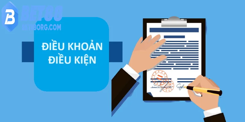 Điều khoản điều kiện cơ sở pháp lý