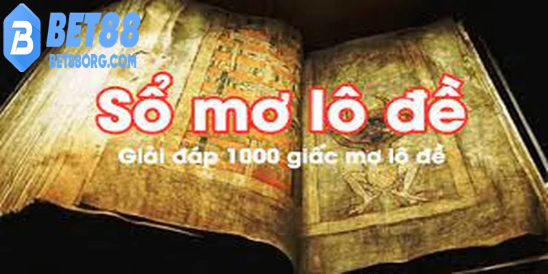 Giải mã giấc mơ mối liên hệ giữa giấc mơ và những con số